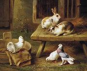 unknow artist Two Rabbits and three pigeons 069 oil on canvas